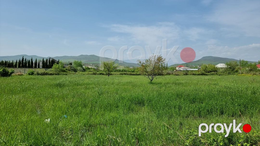 30 sot torpaq sahəsi, Şabran r — Torpaq, Şabran (12)