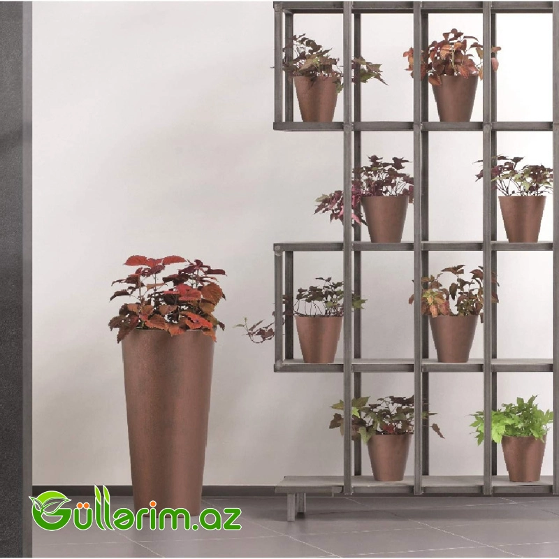 Plastik Dibçək 025 — Bağ dekorasiyası, Bakı (5)