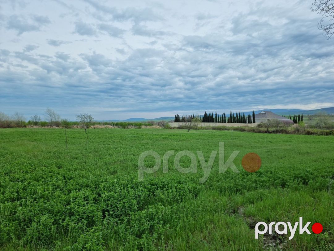 30 sot torpaq sahəsi, Şabran r — Torpaq, Şabran (11)
