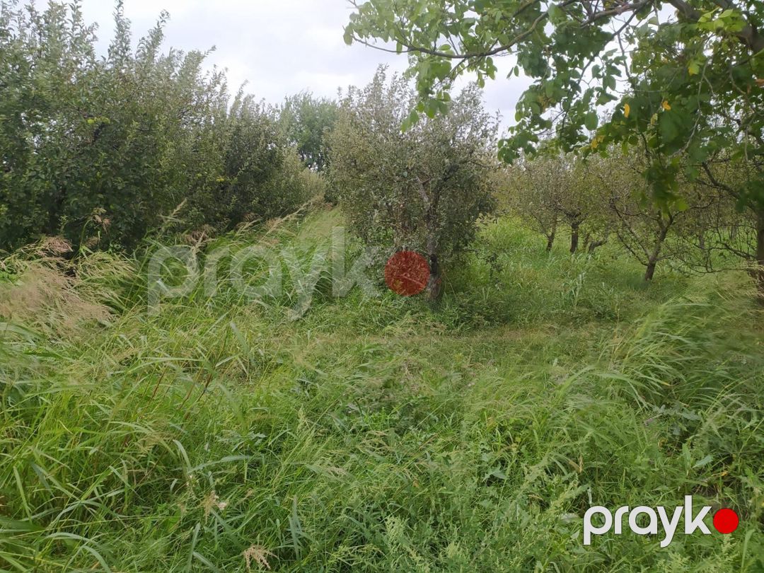 Satılır torpaq 90 sot — Torpaq, Quba (4)