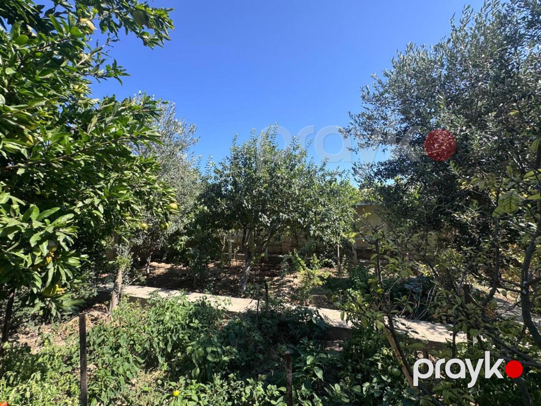 Satılır 7 otaqlı həyət evi/bağ evi 350 m² — Ev, villa, Bakı (12)