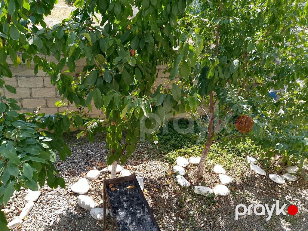 5 otaqlı, 20 kv. m, Yeni təmirli — Ev, villa, Quba (7)