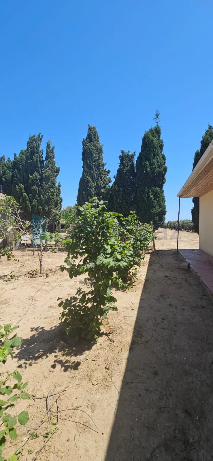 Satılır: Torpaq, Xəzər r., Dübəndi q., 1.00 hektar — Torpaq (8)
