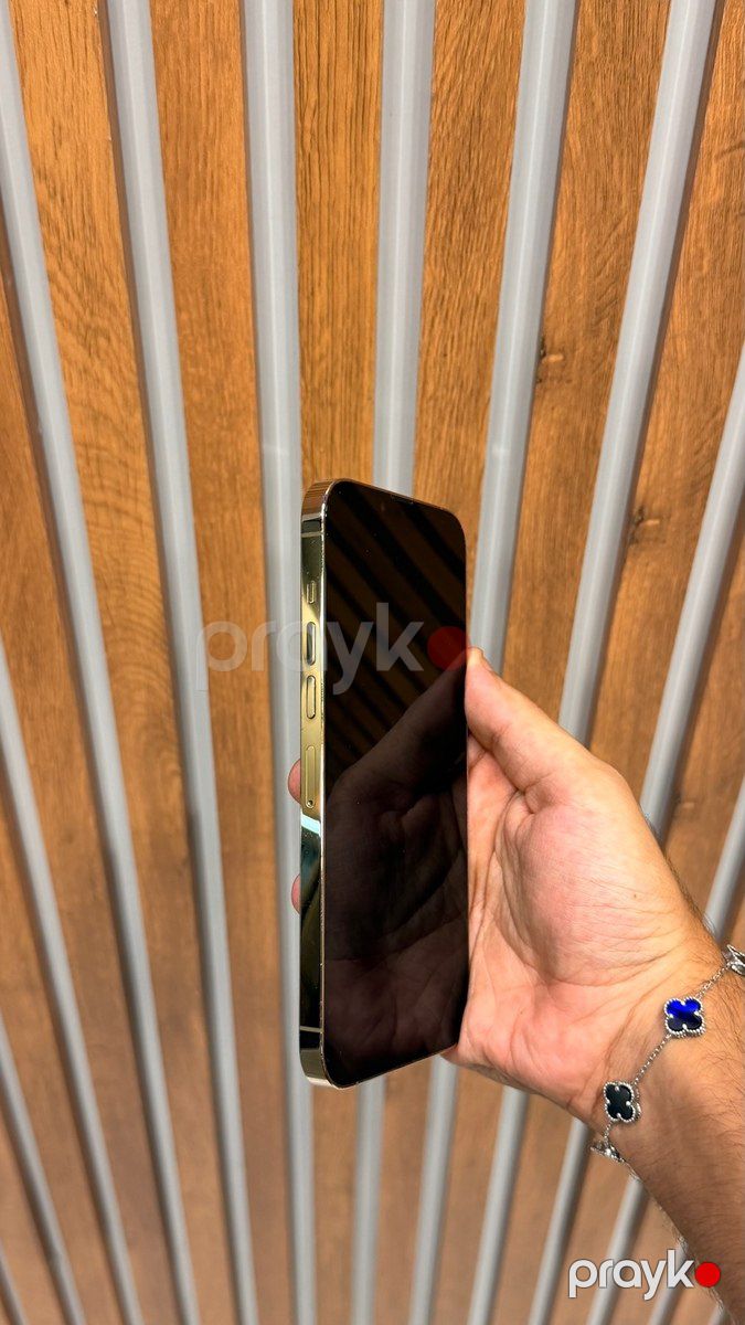 Apple iPhone 13 Pro Max Gold 256GB/6GB — Smartfonlar, Bakı (6)
