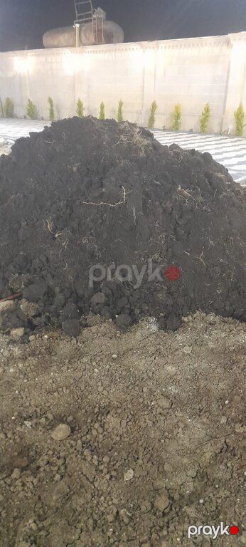 Peyin, torf, torpaq — Dacha və bağ, Bakı (4)