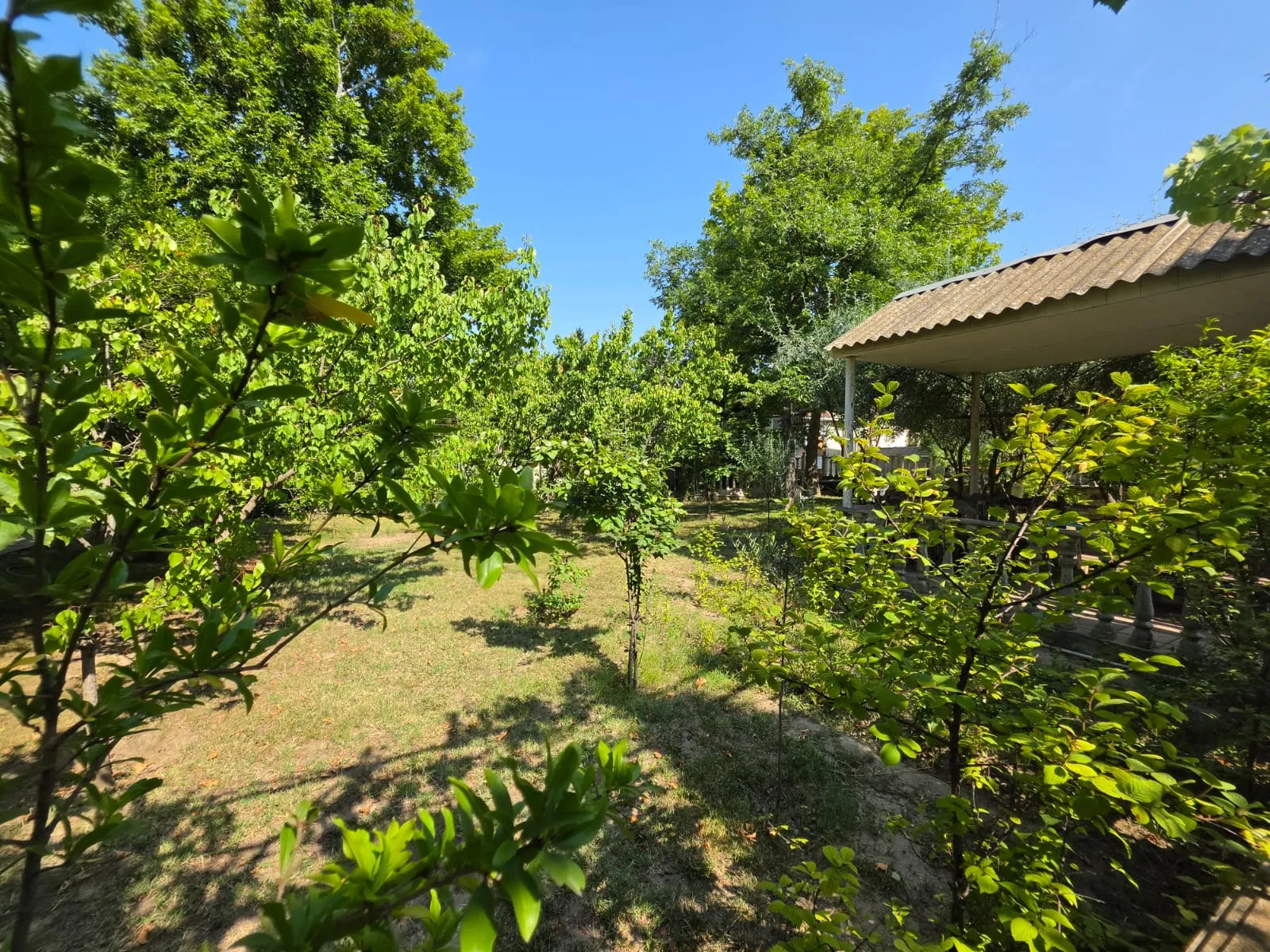 Novxanı, 5 otaqlı Həyət evi satılır - 180 m², 2 mərtəbə, 12 sot — Ev, villa, Bakı (4)