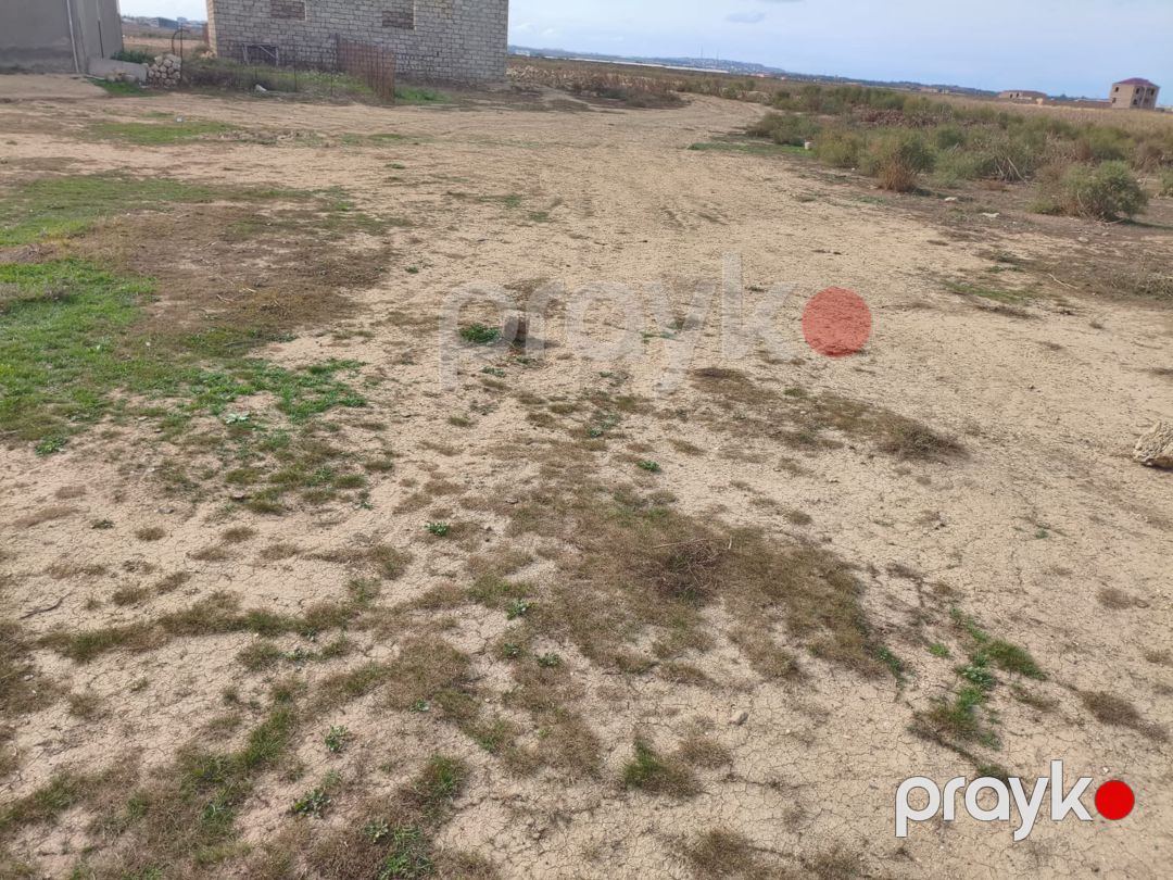 3 sot torpaq sahəsi, Məhəmmədli qəs — Torpaq, Bakı (2)