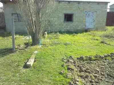 Satılır: Torpaq, Abşeron r., Masazır q., 20.00 sot — Torpaq, Saray (7)