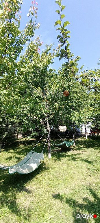 Həyət evi kirayə verilir, Quba r — Ev, villa, Quba (11)