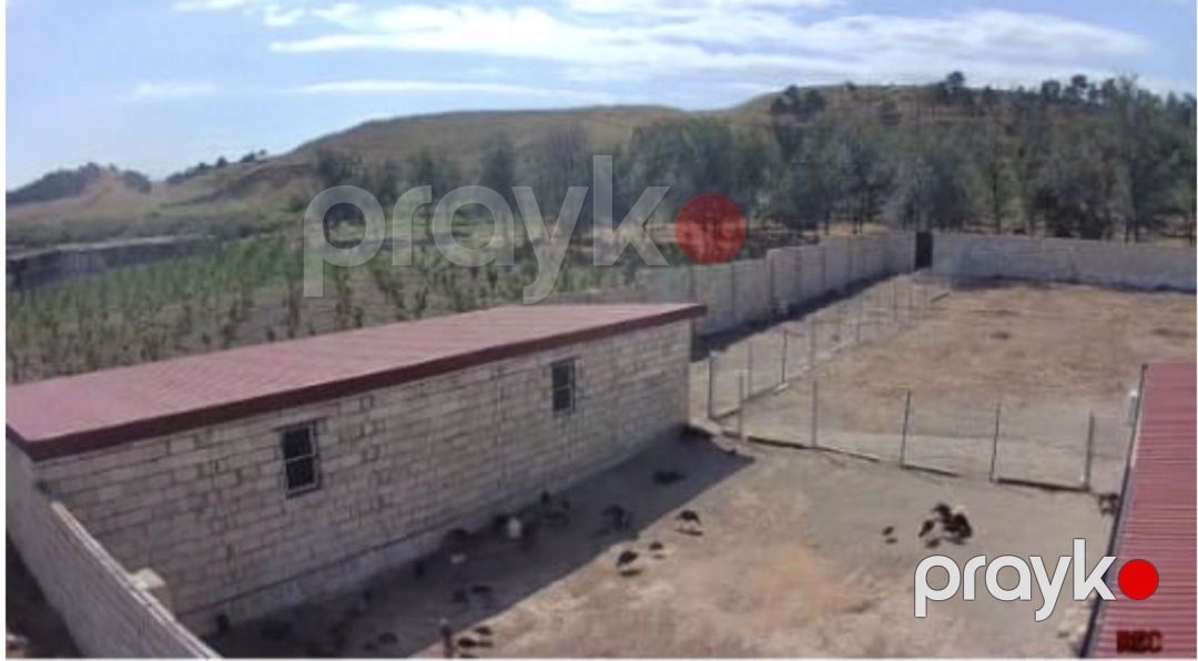 57 sot torpaq sahəsi, Şabran r — Torpaq, Şabran (4)