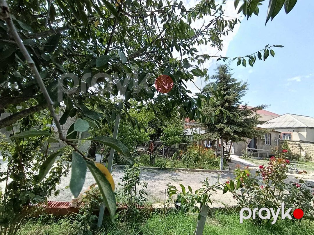 Satılır torpaq 3 sot — Torpaq, Bakı (3)