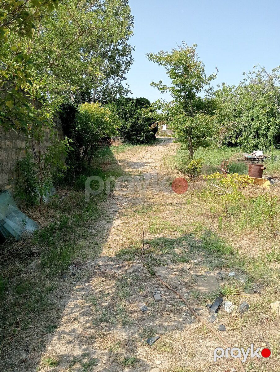 12 sot torpaq sahəsi, Novxanı qəs — Torpaq, Bakı (6)