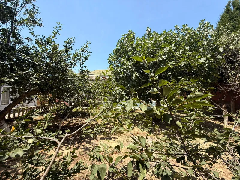 Mərdəkan, Torpaq satılır - 3.5 sot — Torpaq, Bakı (3)