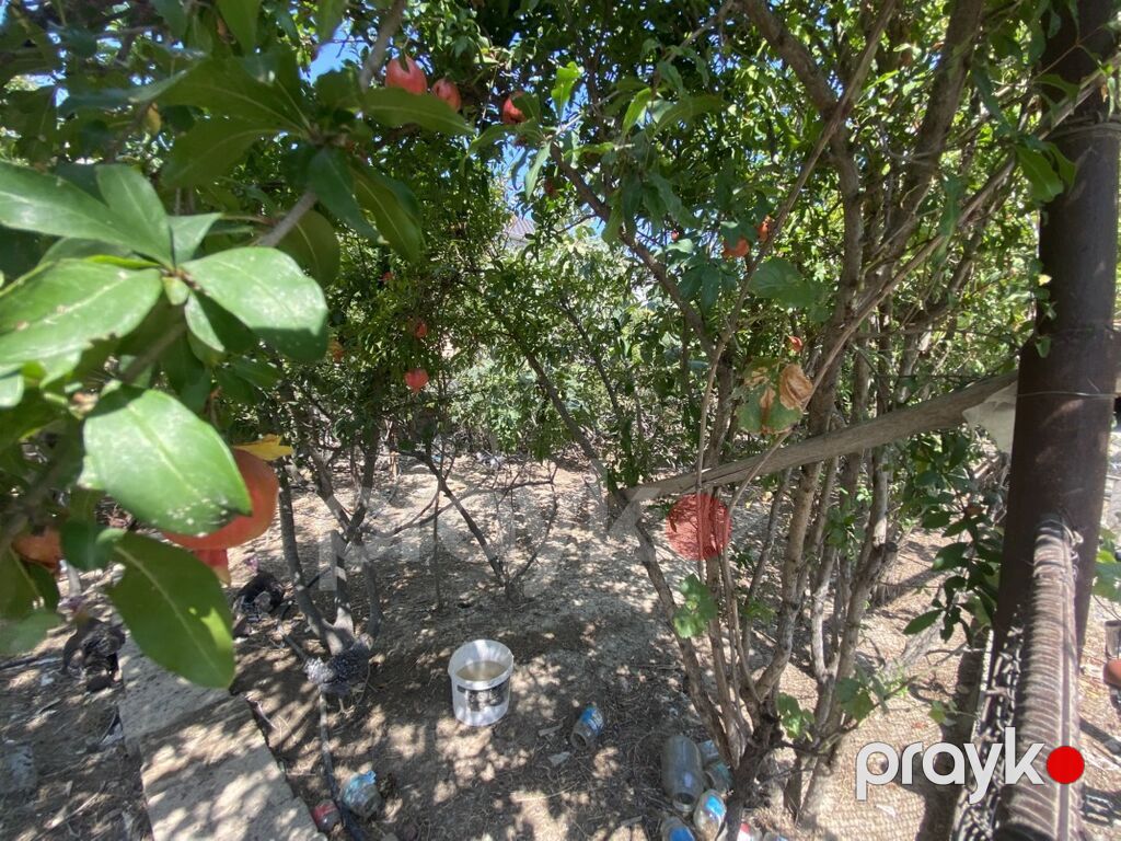 2 sot, Kupça (Çıxarış) — Torpaq, Masazır (4)
