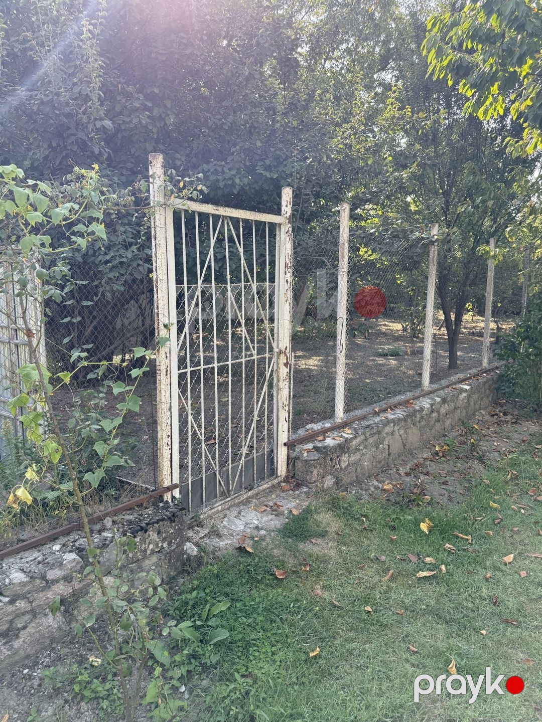 Satılır torpaq 8 sot — Torpaq, İsmayıllı (12)