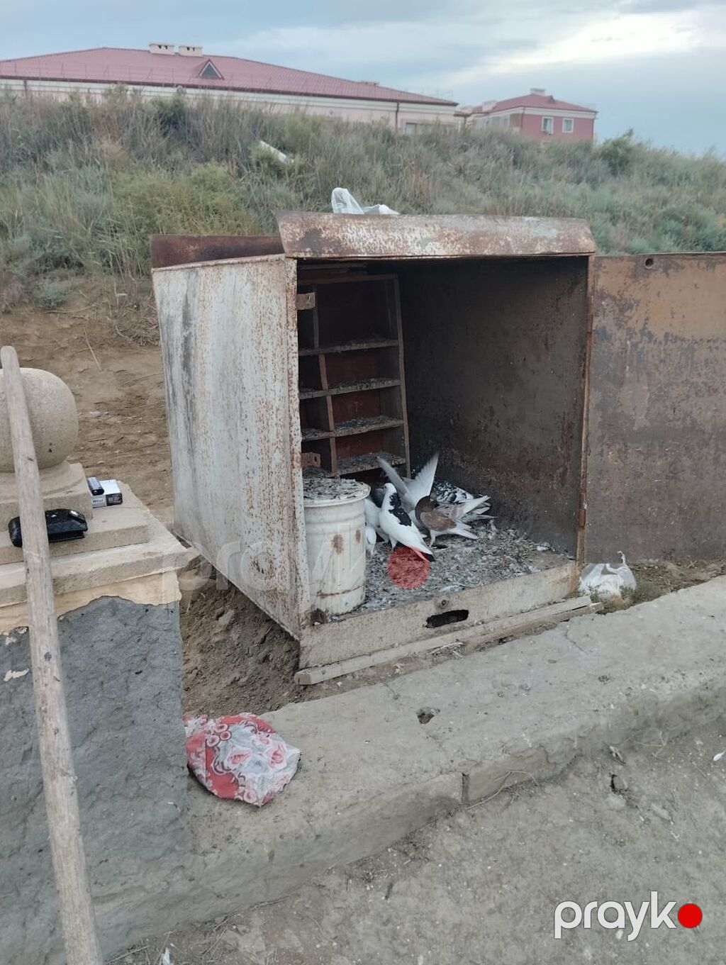 Qusxana Qaradağ Rayon umid qesebesindedi elaqe 070-292-15-48 isdyen — Hazır konstruksiyalar, Bakı (5)