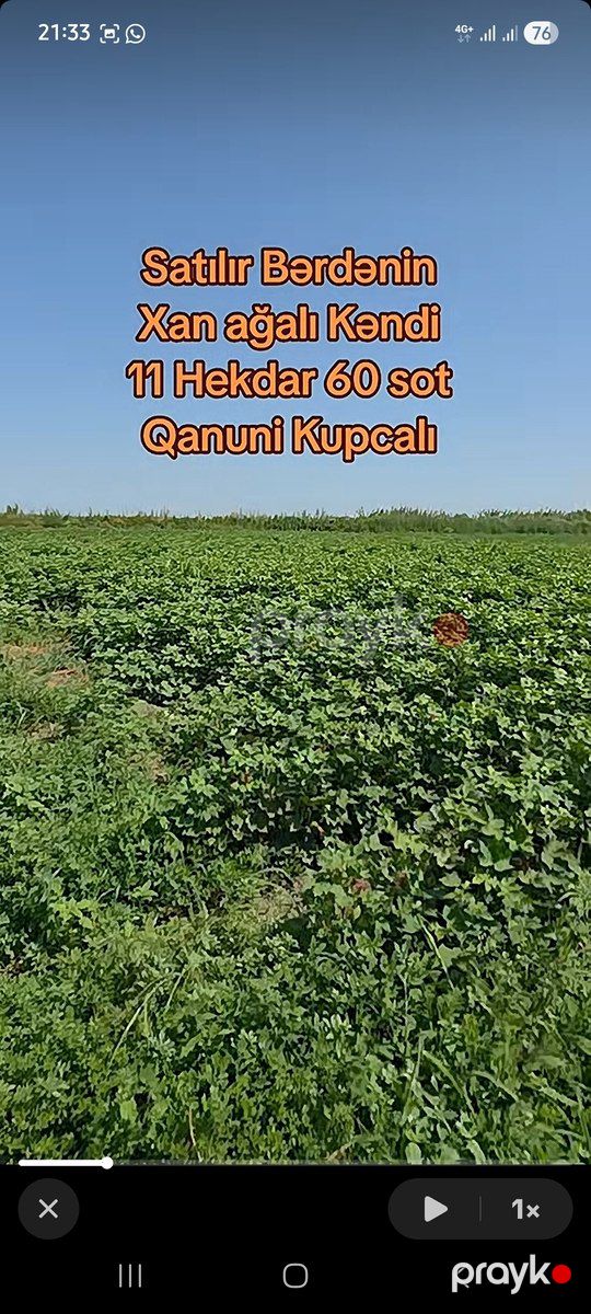 8.15 sot torpaq sahəsi, Bərdə r — Torpaq, Bərdə (2)