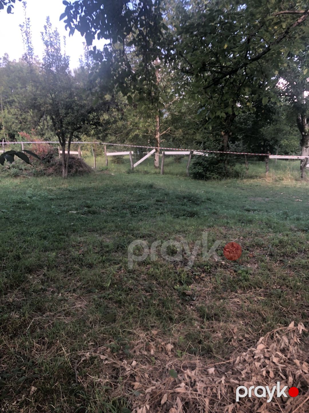 Satılır torpaq 3 sot — Torpaq, Qəbələ (2)