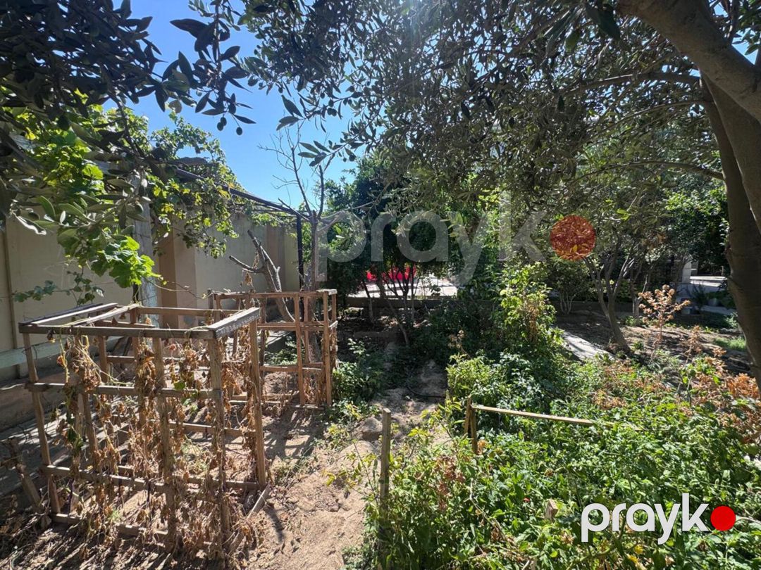Satılır 7 otaqlı həyət evi/bağ evi 350 m² — Ev, villa, Bakı (9)