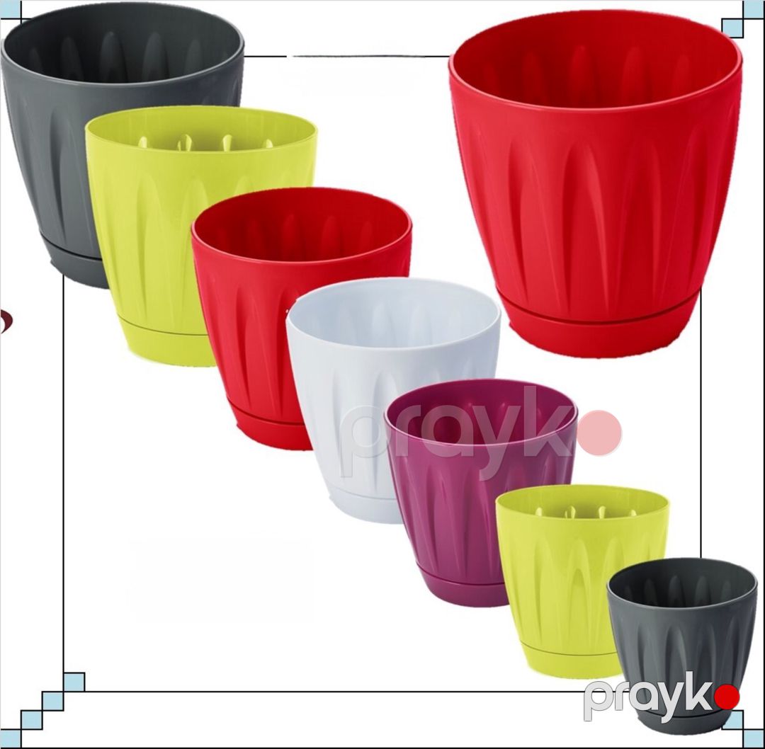Dibçək — Bitkilər, Bakı (4)