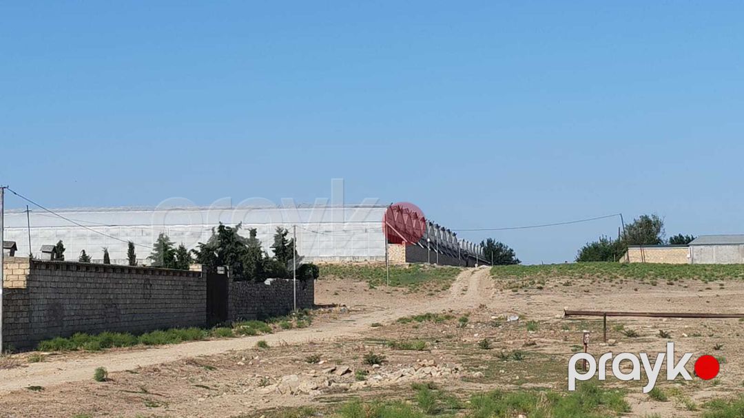 Satılır torpaq 100 sot — Torpaq, Bakı (12)