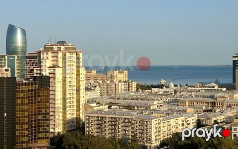 Satılır 5 otaqlı yeni tikili 335 m² — Bakı