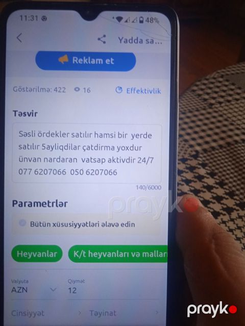 Məhsul: Səsli ördəklər (bir yerdə satılır) Təsvir: - 5 aylıq ördəklər — Digah