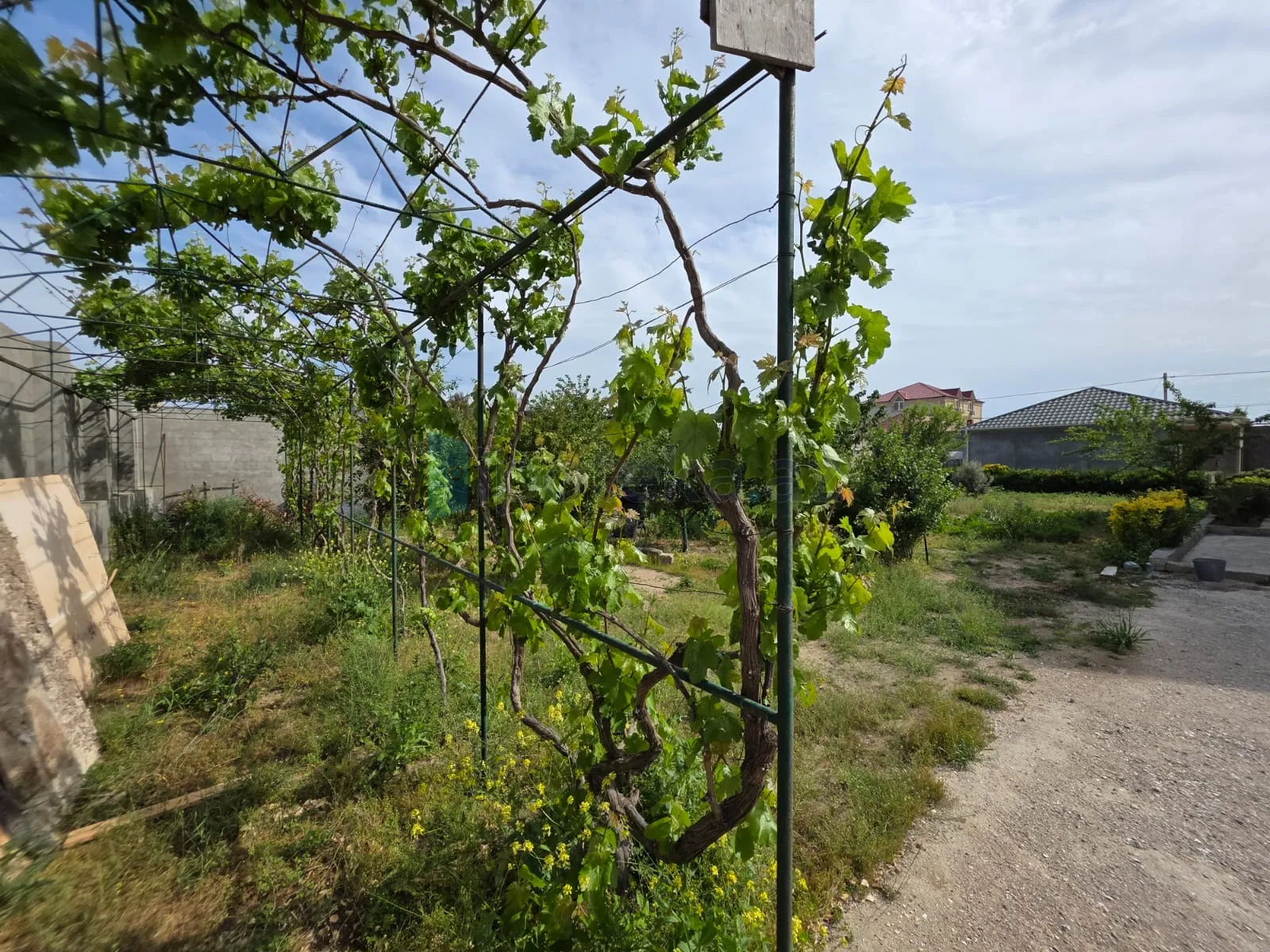 Satılır: Torpaq, Xəzər r., Şüvəlan q., 5.40 m² — Torpaq, Şüvəlan (6)