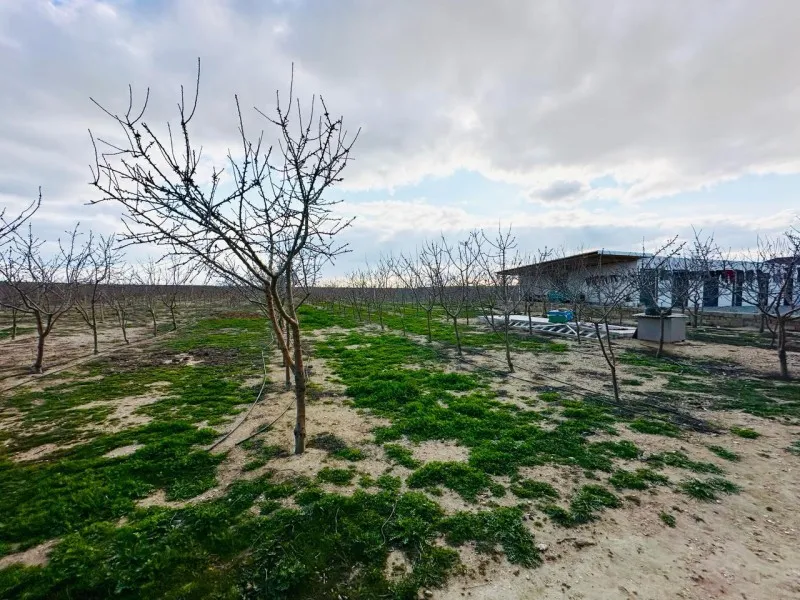 Türkan, Kommersiya obyekti satılır - 350 m², 267 sot — Əmlak, Bakı (5)