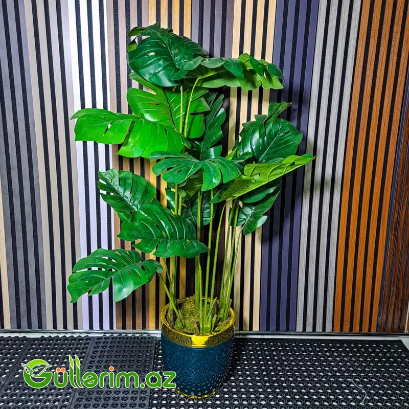 Süni Monstera Bitkisi — Bakı