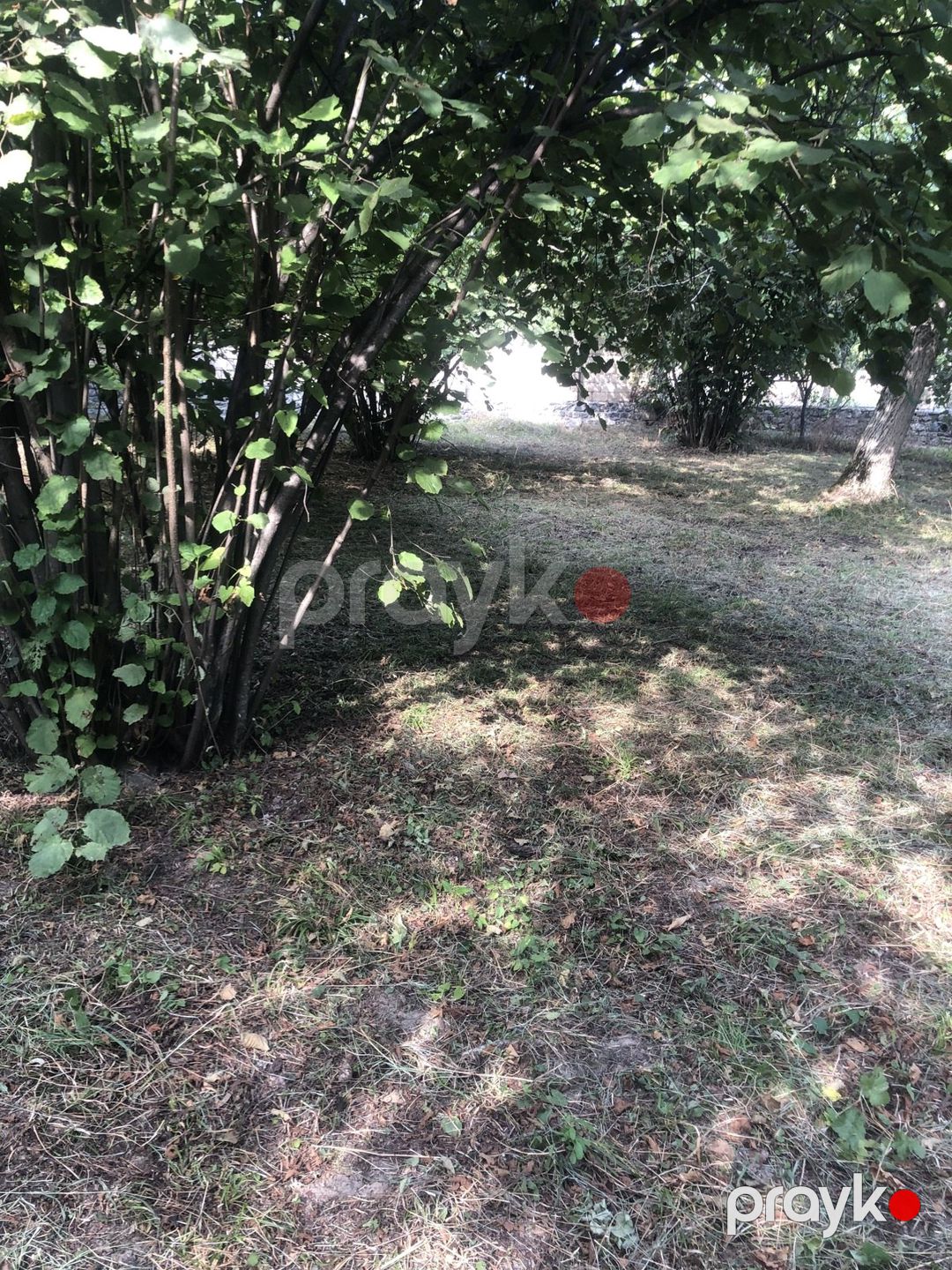 Satılır torpaq 13 sot — Torpaq, Qəbələ (6)