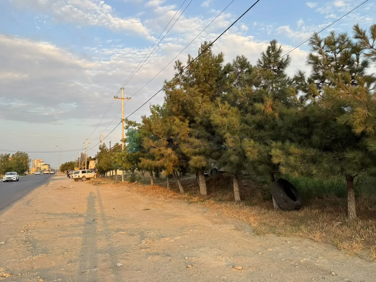 Satılır: Torpaq, Abşeron r., Masazır q., 12.00 sot — Torpaq, Saray (4)