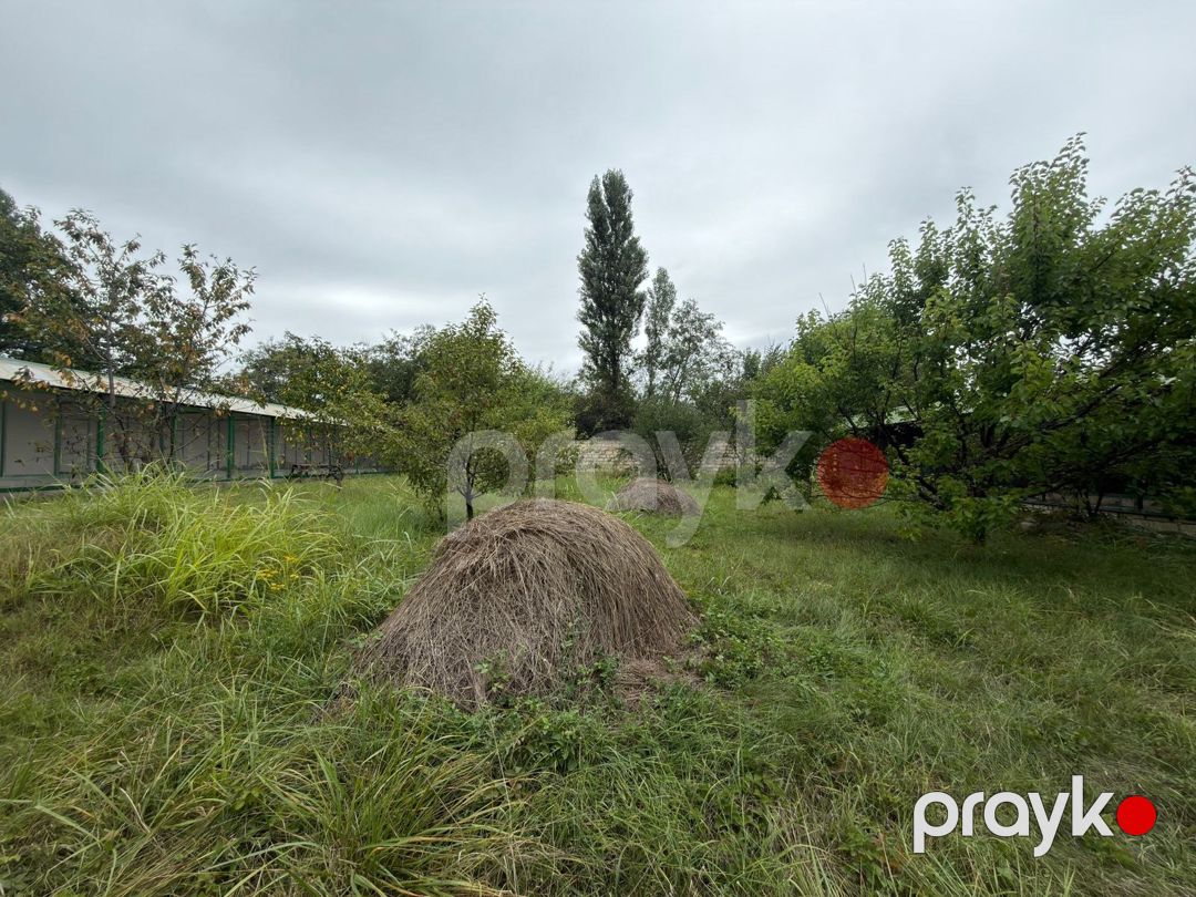 7 sot torpaq sahəsi, Balaqusar k — Torpaq, Qusar (4)