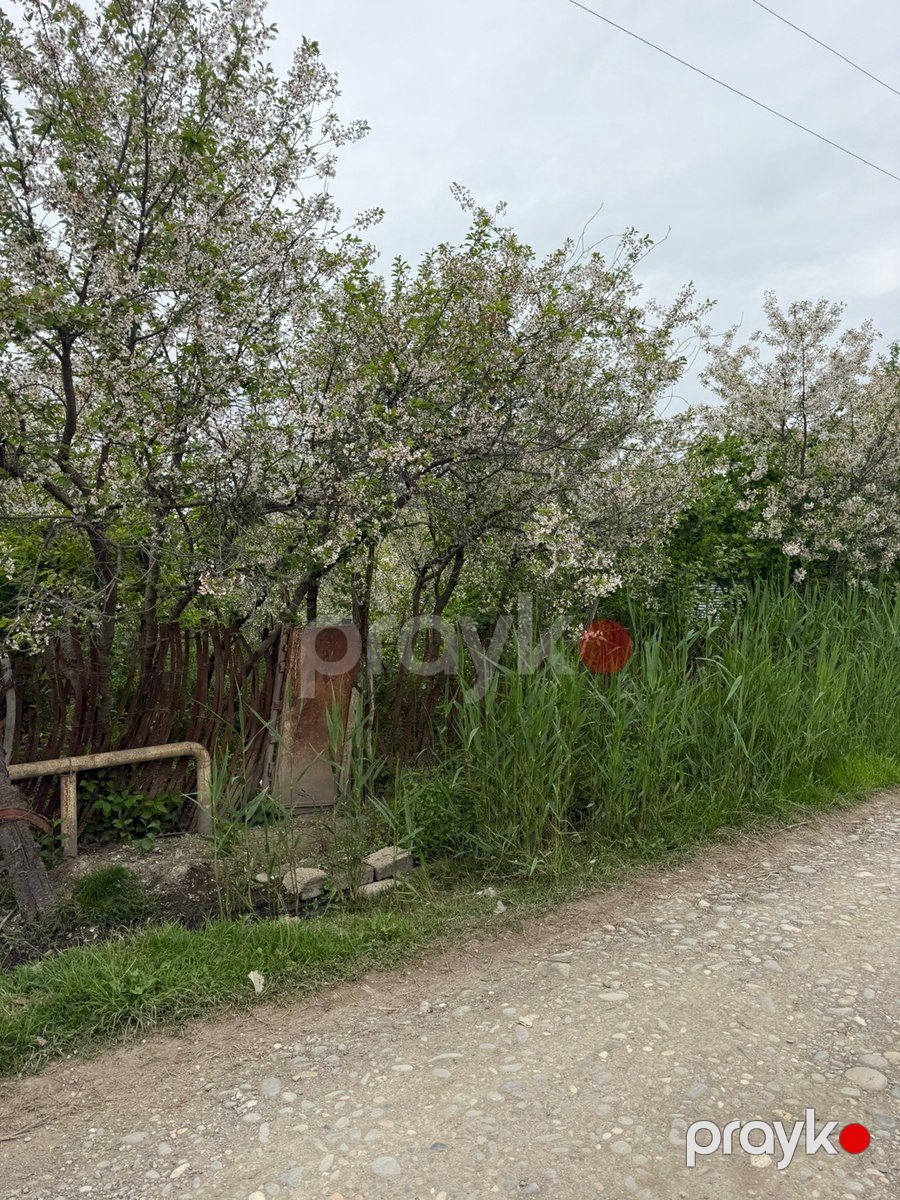 4 sot torpaq sahəsi, Xudat ş — Torpaq, Xudat (4)
