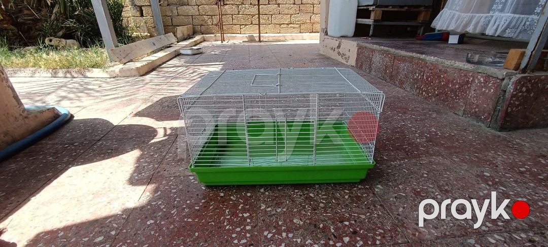 Qəfəs — Heyvan malları, Bakı (2)