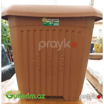 Plastik Dibçək 013 — Bağ dekorasiyası, Bakı (5)