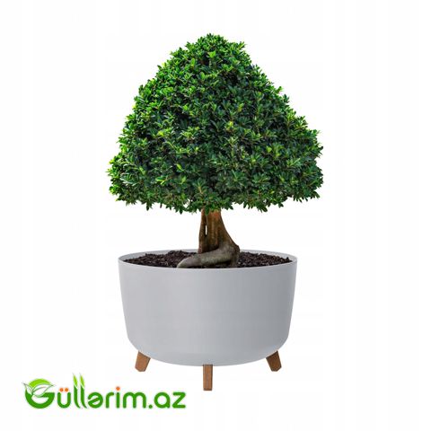 Lamela Dibçək (Ayaqlı Model) — Garden decor