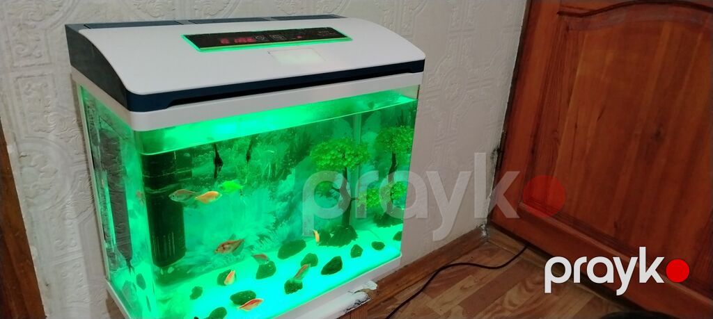 Ağıllı LED işıqlı akvarium seti - Müasir dizaynlı qapaq və toxunma — Akvariumlar və balıqlar, Sumqayıt (3)