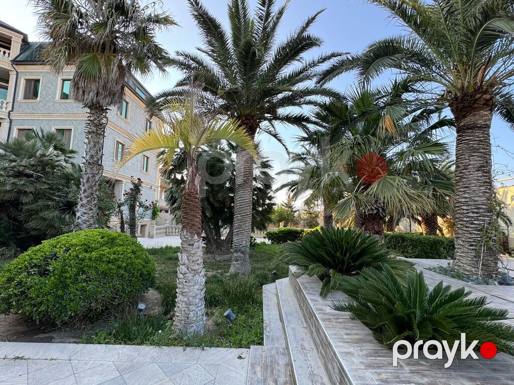 İcarəyə verilir 6 otaqlı həyət evi/bağ evi 500 m² — Ev, villa, Bakı (8)