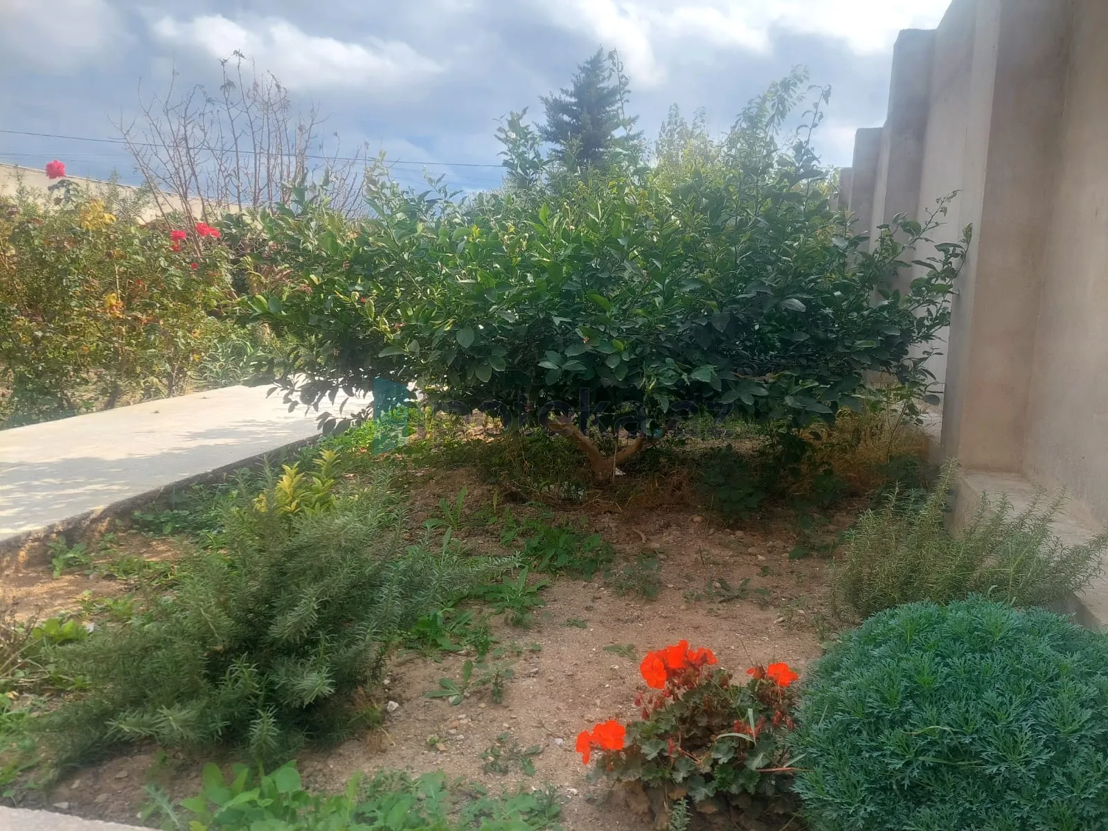 Satılır: 3 Otaq, Evlər/Villalar, Xəzər r., Binə q., 120.00 m² — Ev, villa, Binə (10)