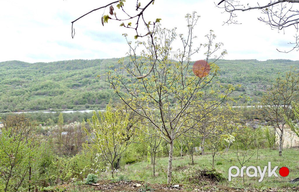 25 sot torpaq sahəsi, Quba r — Torpaq, Quba (10)