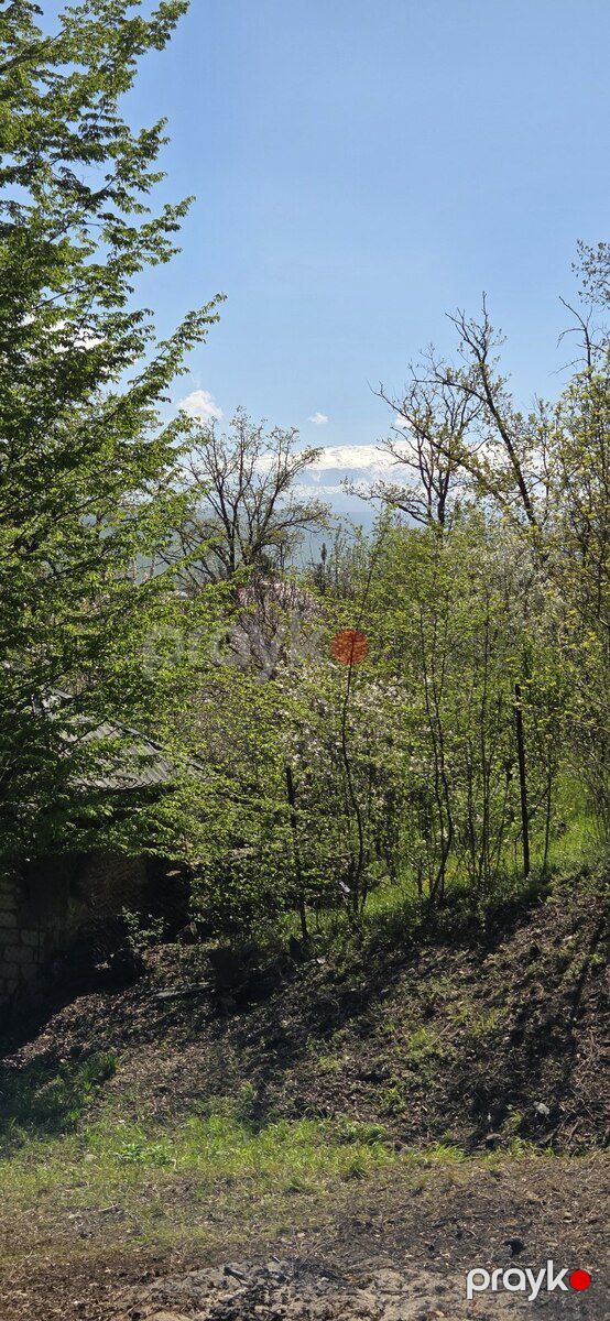 32 sot torpaq sahəsi, Qusar r — Torpaq, Qusar (2)