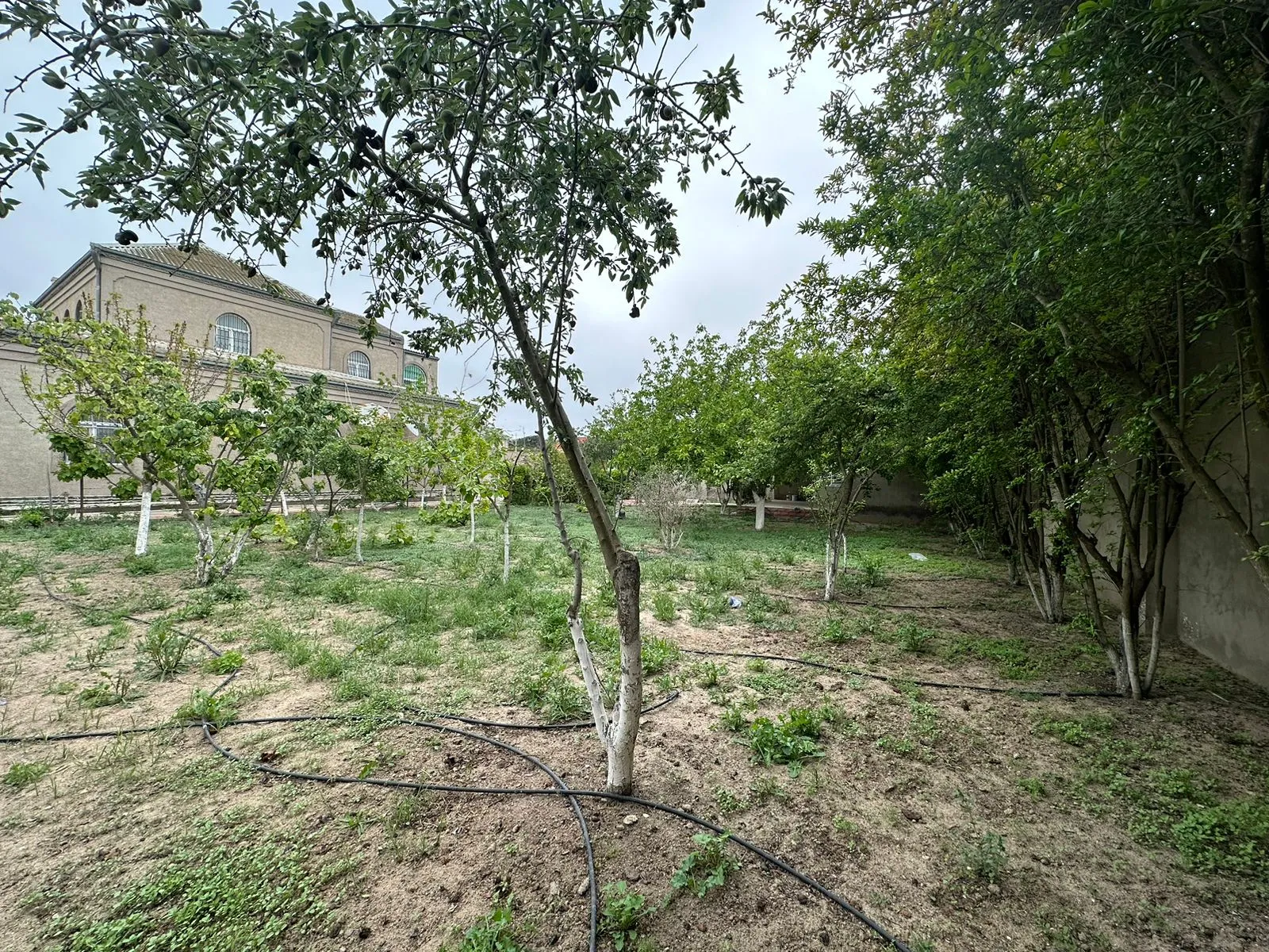 Şağan, Torpaq satılır - 7 sot — Bakı