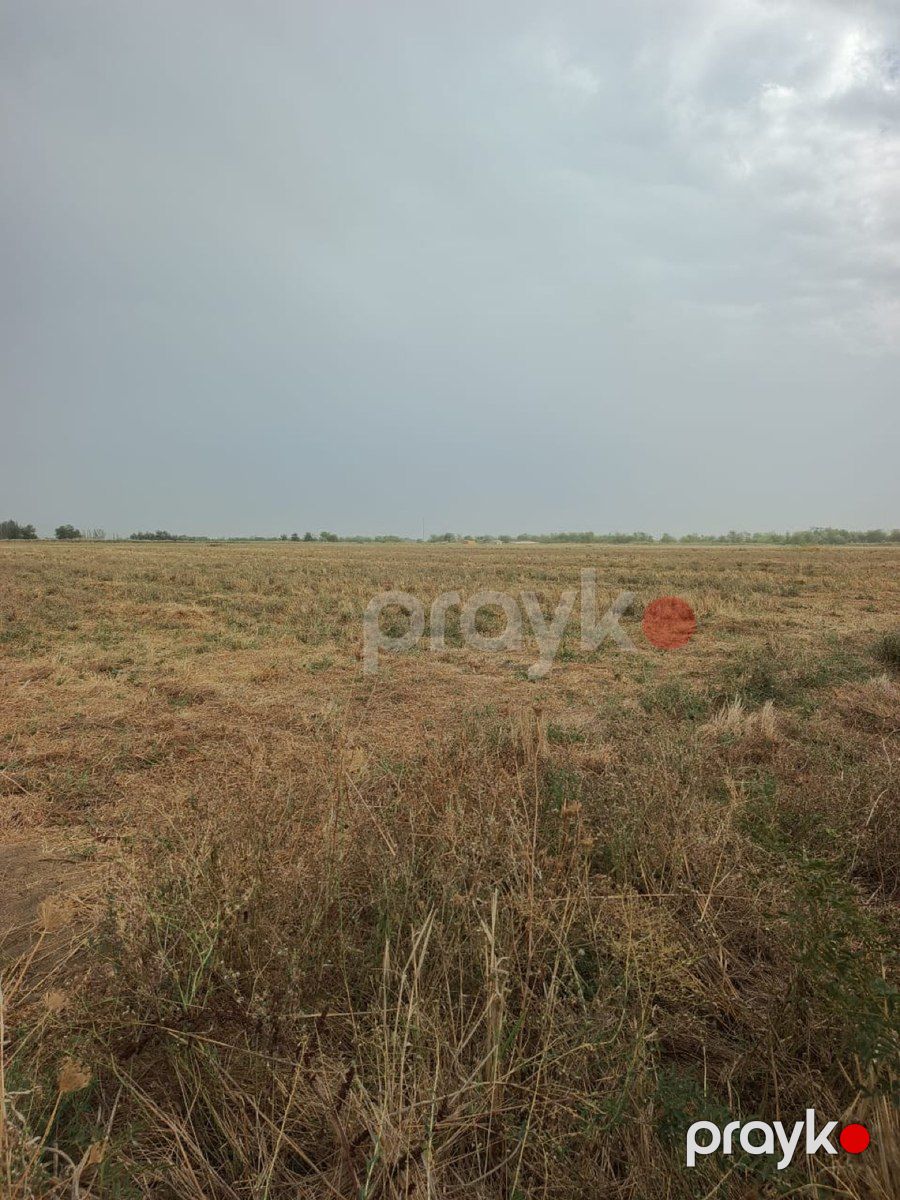 35 sot torpaq sahəsi, Yevlax ş — Torpaq, Yevlax (4)