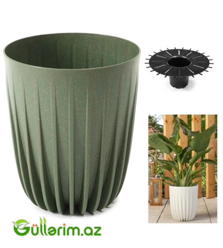 Lamela ECO Dibçək — Bağ dekorasiyası, Bakı (2)
