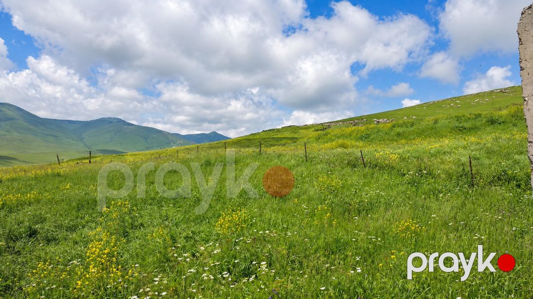 Satılır torpaq 64 sot — Torpaq, Daşkəsən (7)