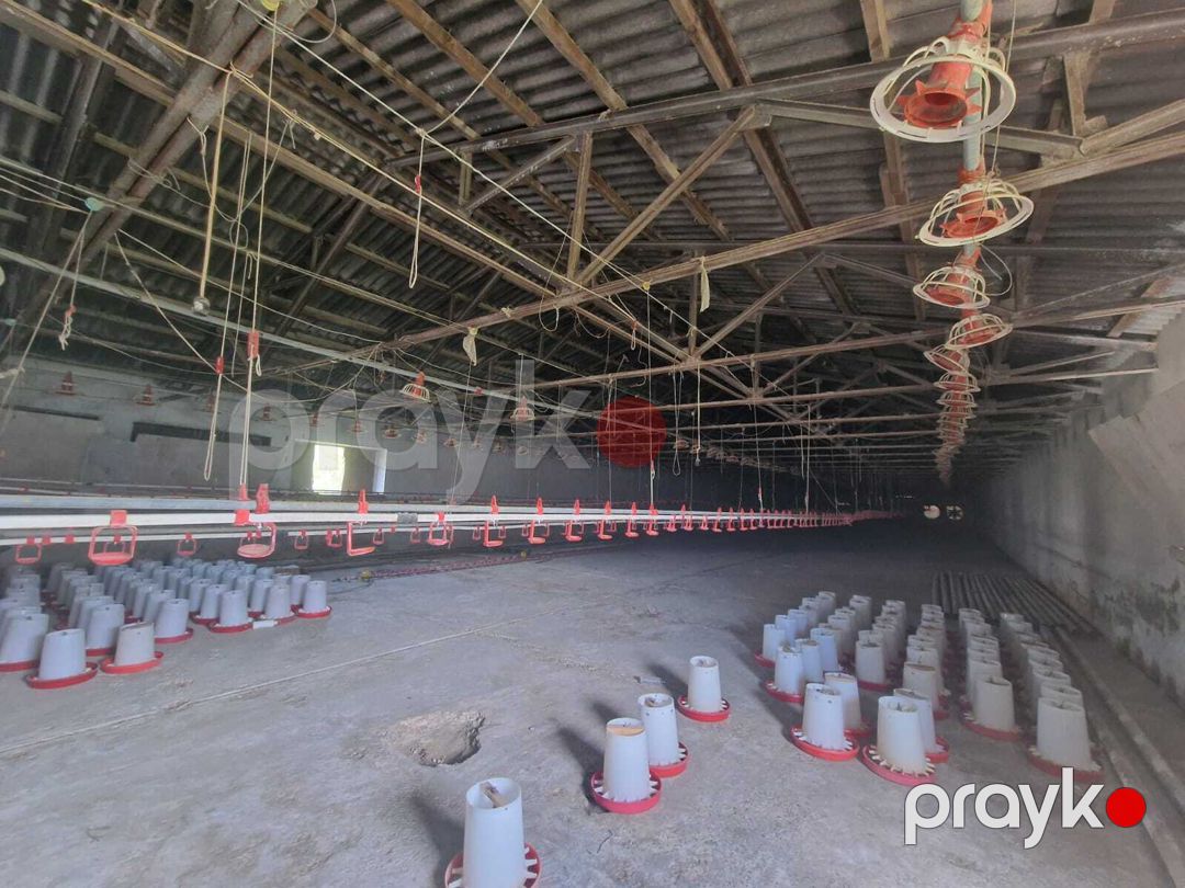 İcarəyə verilir obyekt 780 m² — Əmlak, Bakı (2)