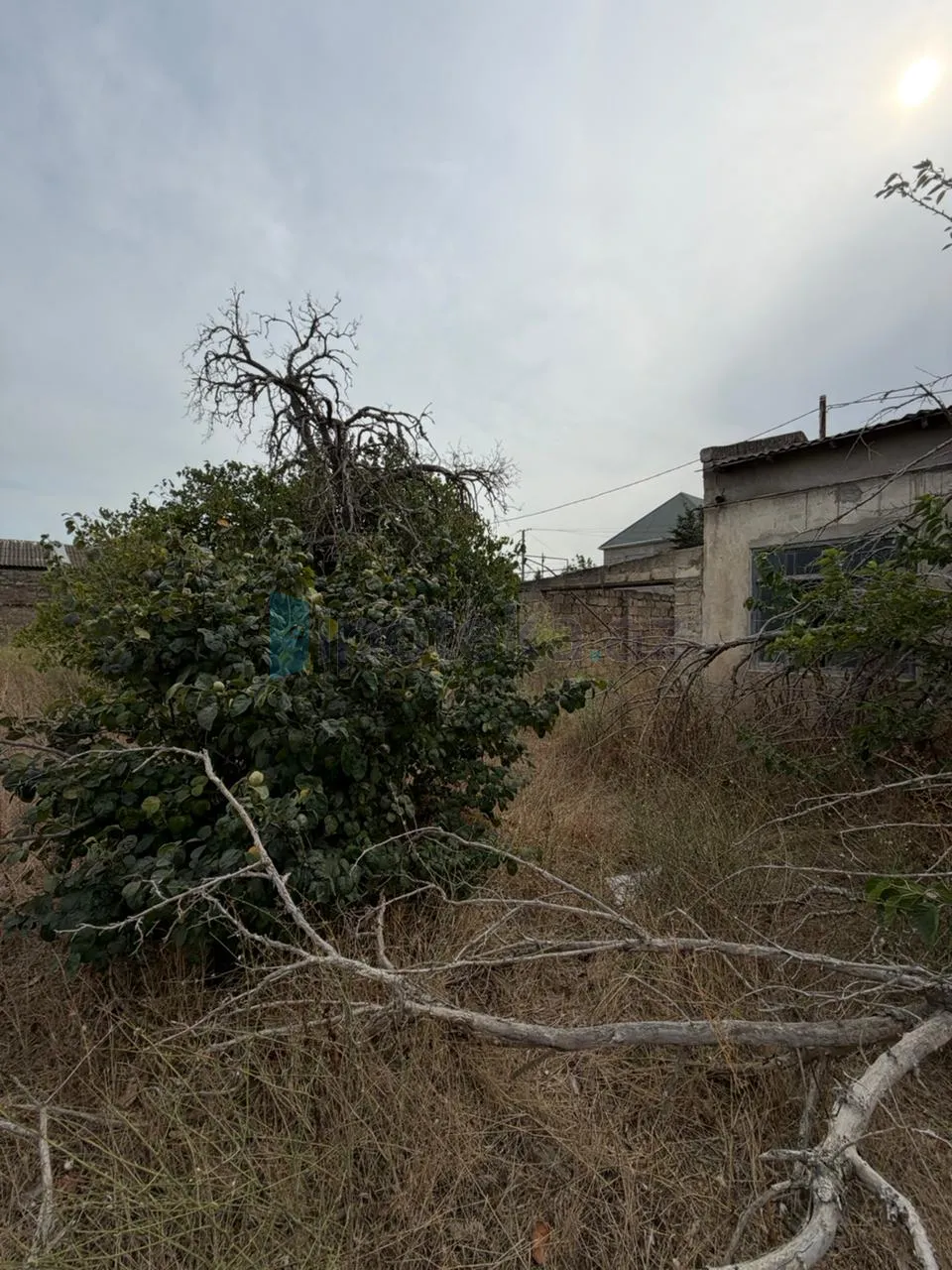 Satılır: Torpaq, Xəzər r., Şüvəlan q., 23.00 m² — Torpaq, Şüvəlan (5)
