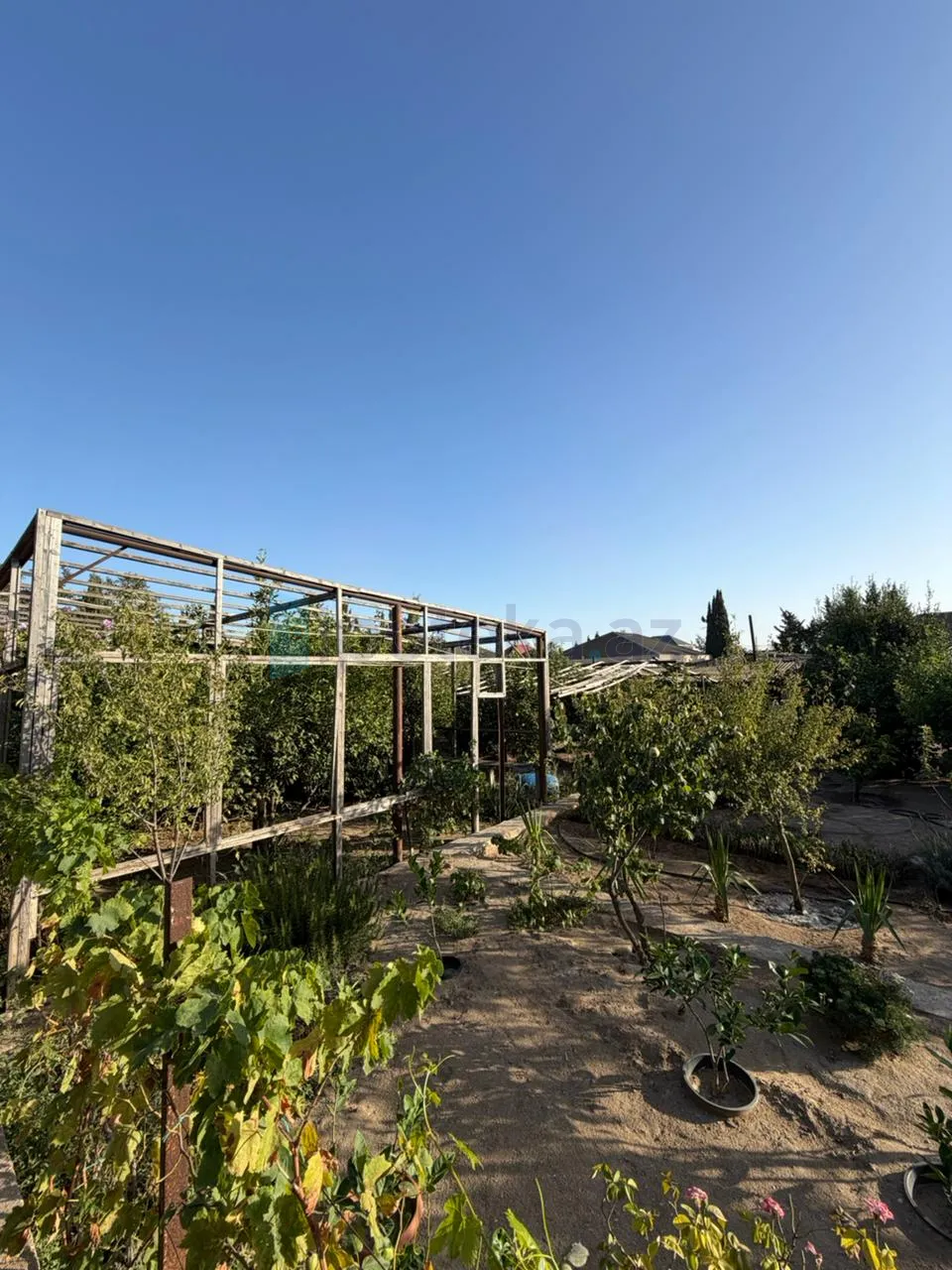 Satılır: Torpaq, Xəzər r., Şüvəlan q., 5.00 m² — Torpaq, Şüvəlan (6)