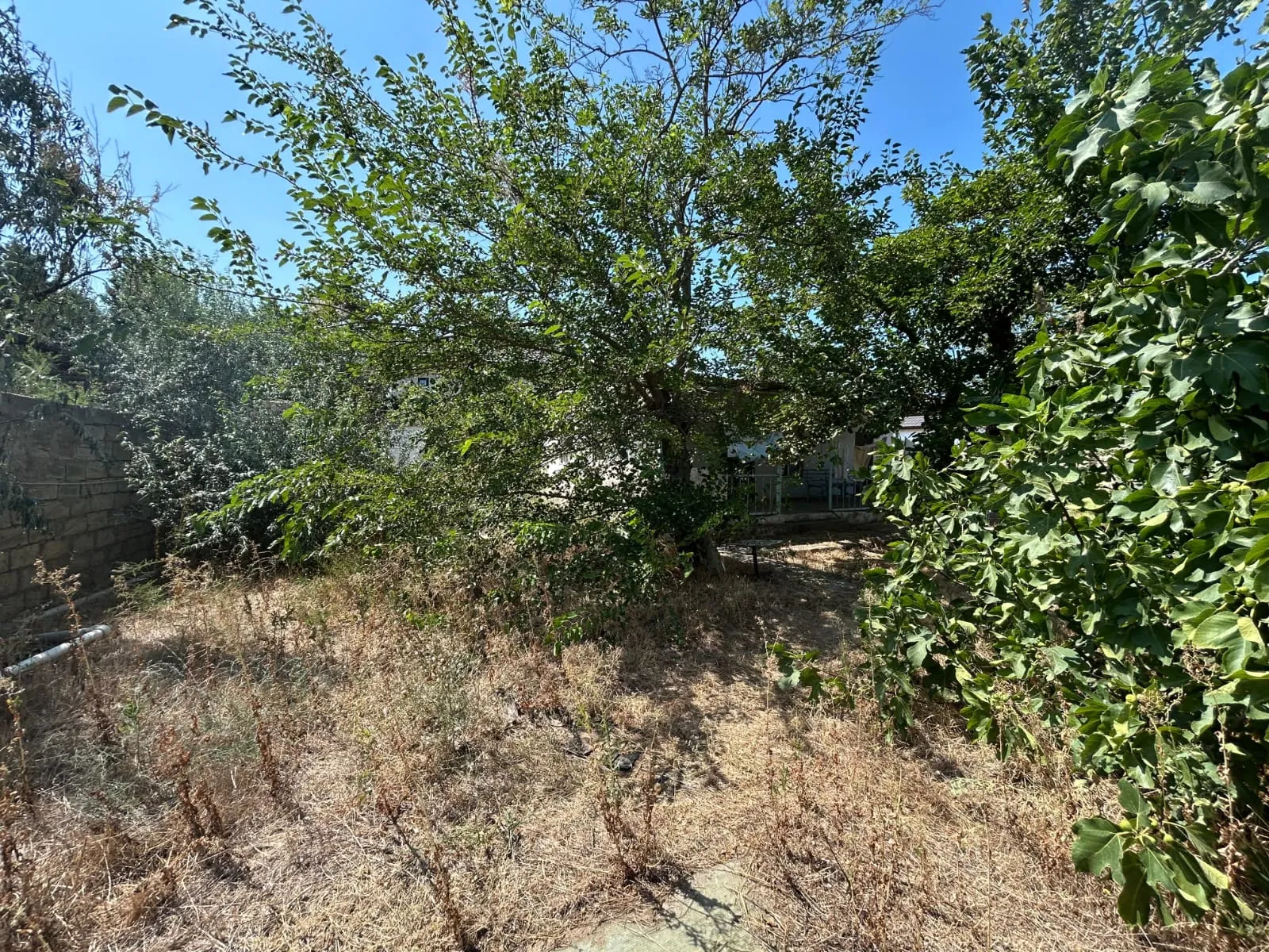 Bilgəh, Torpaq satılır - 8 sot — Torpaq, Bakı (3)